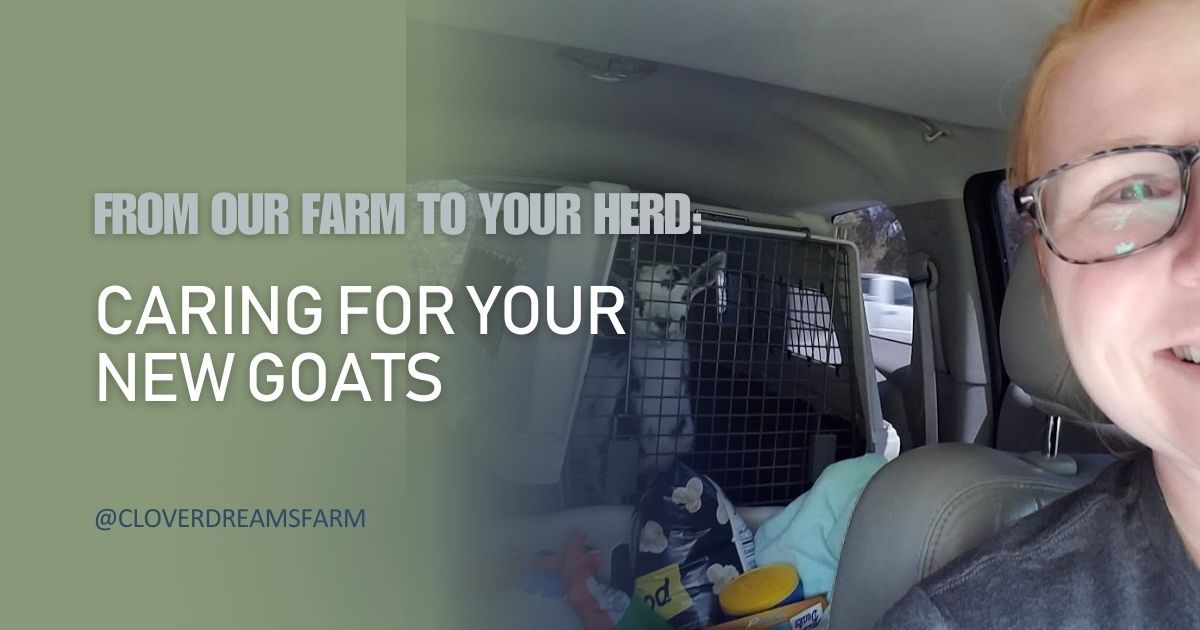 From Our Farm to Your Herd: Caring for Your New Goats